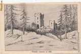 B11505 Ruinele Ciceului in 1866