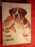 Buletin Documentar - CAINII NOSTRI -nr.5 -1987