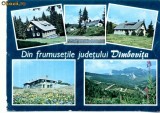 CP46-40-Din frumusetile judetului Dambovita