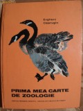 PRIMA MEA CARTE DE ZOOLOGIE - EVGHENI CEARUSIN