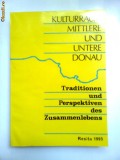 Cumpara ieftin BANAT/CARAS-SPATIUL DUNARII INFERIOARE,TRADITII SI PERSPECTIVE,RESITA