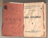 (C81) &quot;TEORIA FATALISMULUI&quot; DE V. CONTA