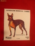 Serie- Expozitia Mondiala Canina 1984 MEXIC , 1 valoare