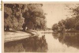 carte postala(ilustrata)-SIGHET-Raul Iza