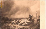 V FOTO 59 Pastor cu oile(cioban), podet, cruce -sepia -antebelica
