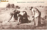V FOTO 58 Les Glaneuses - de Millet, 1814-1875 -Taranci la recoltat cereale, o caruta in plan secund -antebelica