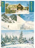 carte postala(ilustrata)-MUNTI BUCEGI-Piatra Arsa