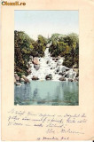 V FOTO 90 Cascada - scrisa de Elise Nicolaescu, la 10 dec 1901 -catre D-ra Zoica Nicolaescu,licentiata in litere si filozofie, Buzeu (Buzau)