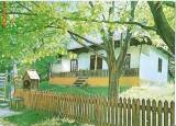 CP195-51 Casa din Nereju Mic, com. Nereju,Jud Vrancea -Muzeul satului(Bucuresti) - carte postala, necirculata -starea care se vede