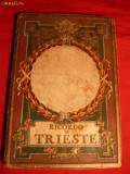 Album - Ricordo di Trieste - 29 fotografii color -cca.1920