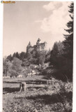 Carte postala-Castelul Bran