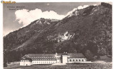 carte postala-POIANA BRASOV