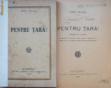 Cumpara ieftin Const. Riulet , Pentru tara ! , 1922, Alta editura