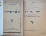 Const. Riulet , Pentru tara ! , 1922