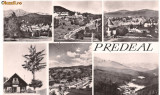 carte postala-PREDEAL
