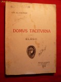 Ion Al-George - Domus Taciturna -1916,desene- Catul Bogdan