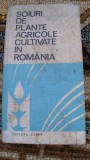 SOIURI DE PLANTE AGRICOLE CULTIVATE IN ROMANIA