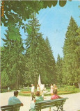 CP199-84 Olanesti -carte postala, circulata 1984 -starea care se vede