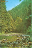 CP200-29 Valea Slanicului la Slanic-Moldova -carte postala, circulata 1976 -starea care se vede