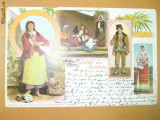Carte Postala Litografie Salutari din Romania Tigani