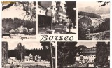 Carte postala(ilusrata)-BORSEC