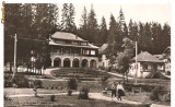 carte postala(ilusrata)-BORSEC-Vedere