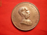 Medalie FRANZ JOSEF - 1873 Austria, metal argintat , d= 4 cm, Europa