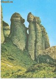CP201-66 Muntii Ciucas -Babele la sfat -carte postala, necirculata -starea care se vede