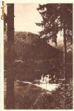 CP202-69 Tusnad -RPR -sepia -carte postala, circulata 1950 -starea care se vede