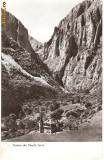 CP202-25 Vedere din Cheile Turzii -RPR -carte postala, circulata 1964 -starea care se vede