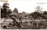 CP204-09 Cluj -Gradina botanica. Turnul de apa -RPR -carte postala, circulata 1961 -starea care se vede