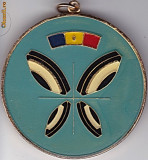 Medalie cu tricolor si fluture stilizat (?)