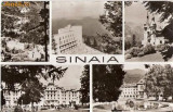 CP204-79 Sinaia -carte postala, circulata 1966 -starea care se vede