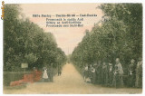 154 - BUZIAS, Timis, Park - old postcard - used - 1925, Circulata, Printata