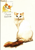 Carte maxima pisica Van turceasca