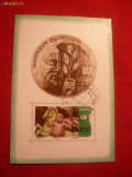 *Colita - Warsovia Olimpica 1970 Polonia , stamp., Stampilat