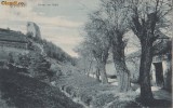 B25392 Brasov Graft