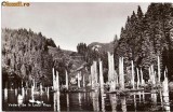 CP206-10 Vedere de la Lacul Rosu -RPR -carte postala, circulata 1961 -starea care se vede