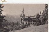 B25582 Sinaia Castelul Peles