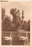 CP207-85 Bucuresti -Vedere din Parcul Libertatii -RPR -sepia -carte postala necirculata -starea care se vede