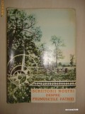 SCRIITORII NOSTRI DESPRE FRUMUSETILE PATRIEI