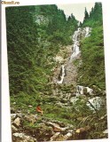 carte postala-BORSA-Cascada ,,Izvorul cailor,,