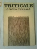 TRITICALE ~ O NOUA CEREALA ( hibrid, intre secara si grau )