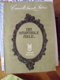 DIN AMINTIRLIE MELE