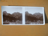 Foto Stereoscopica nr. 3012 Poiana Tapului Valea Jepilor