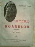 Culesul Roadelor