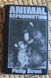 Philip Street Animal Reproduction London 1974