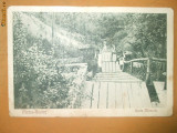 Carte Postala Piatra Neamt Apele minerale 1924