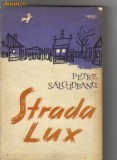 Petre Salcudeanu - Strada Lux, 1962