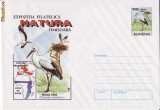 Pasari-Barza alba